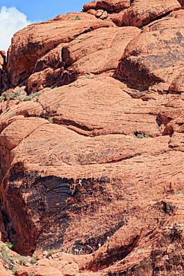 Climbing Calico Hills in Red Rock Canyon