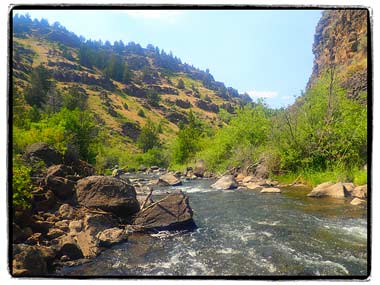 Oregon Steens Mountain stream
