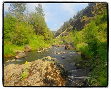 Oregon Steens Mountain stream