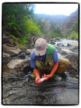 Oregon Steens Mountain stream