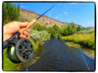 Oregon-Steens-Mt Wilderness