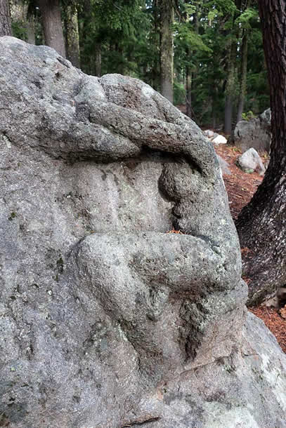 Crater Lake Historic Lady of the Woods