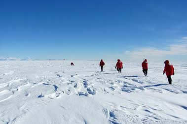 Ttekking Antarctica