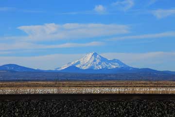 Northern California