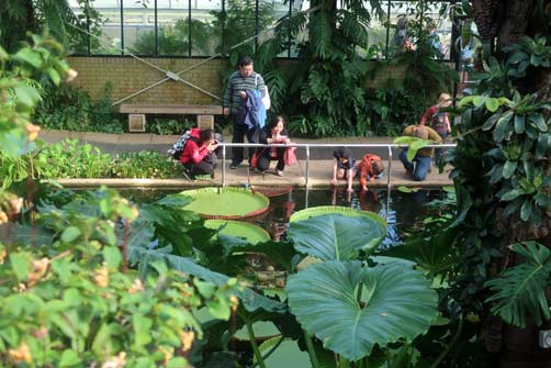 Kew Gardens family