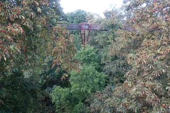 Kew Gardens Treetop Walkway