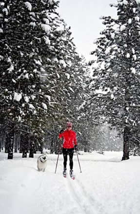 Cross country skier with dog, McCall, Idaho