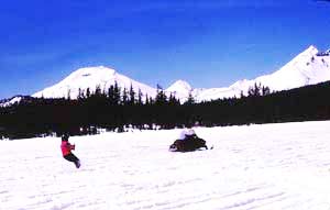 lVicky Andeersen skijoring at Mt. Bachelor, Oregon