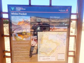 White Pocket sign