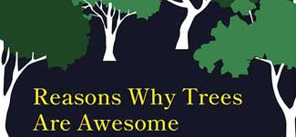 Trees are awesome
