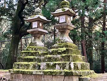 Stone lanterns in Nara Park