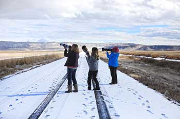 Klamath Basin National Wildlife Refuge Complex photographers