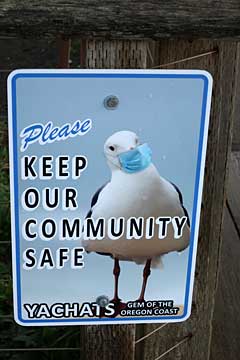 Masked seagull sign