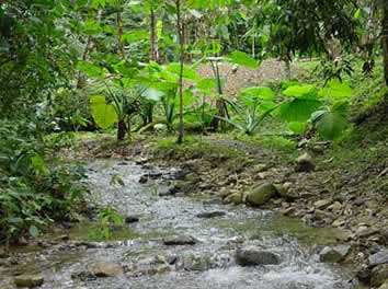 Chiapas Rio Otulum stream