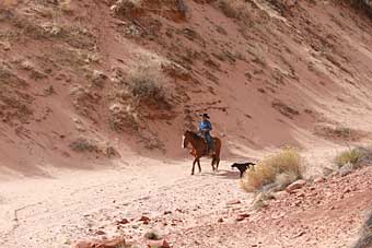 Kanab, Utah horseman