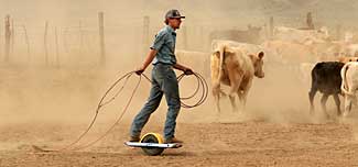 Alder Creek Ranch roping on a One-Wheel