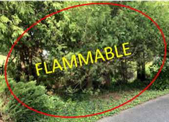 Flammable "fire ladder"