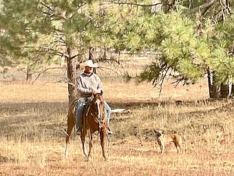 A cowboy on horseback in Yosemite Park