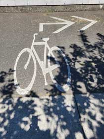 Cyclist sharrow