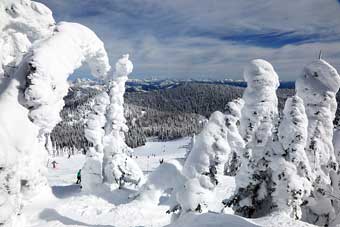 Skiing at Whitefish Resort, Montana