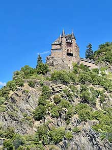 Castle on the Rhine