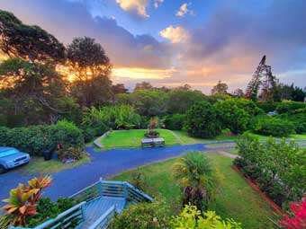 Maui coffee farm and market