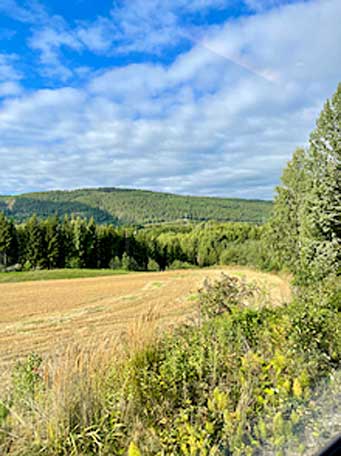 View from the Bergensbanen train, Norway