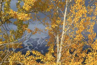 Whitefish and Glacier National Park