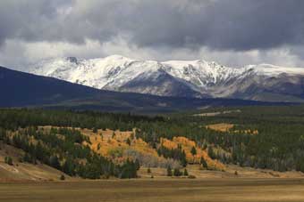 Wisdom and Yellowstone TV Series 1923