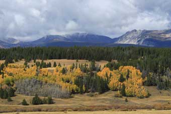 Wisdom and Yellowstone TV Series 1923