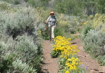 Hart Mountain National Antelope Refuge, Oregon, Harnhardi Road