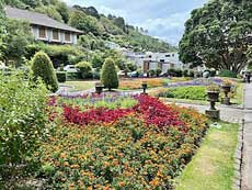 Wellington bontannical garden