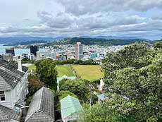 View of Wellington