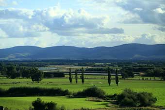 New Zealand country roads