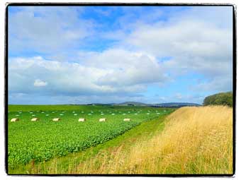 New Zealand country roads