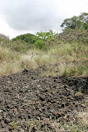 Hawaiian land sledding current course