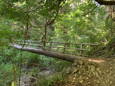 McKenzie River, Oregon, a cautious hiker