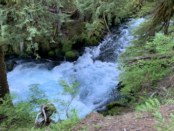 The McKenzie raging along near Sahalie Falls, Oregon