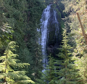 McKenzie River, Oregon, Upper Proxy through trees