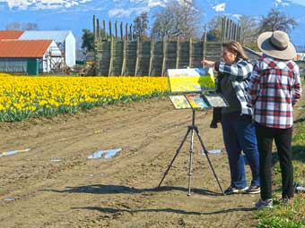 Washington State daffodil tourism