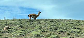 patagonia scene