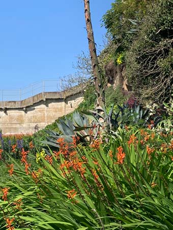 Alcatraz garden