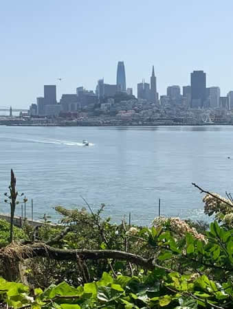 San Francisco from the Alcatraz gardens