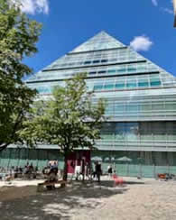 Ulm city library