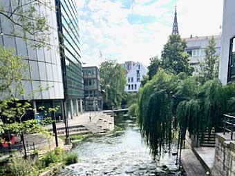 Ulm water view