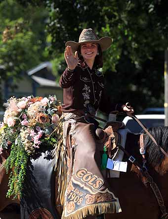 Elgin Stampede