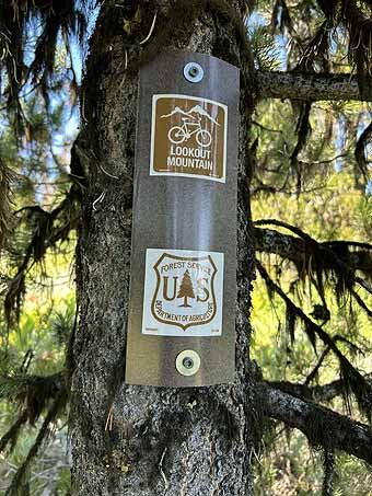 John Day - signs on tree