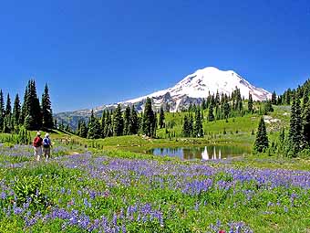 Naches Loop Train on Mount Rainier