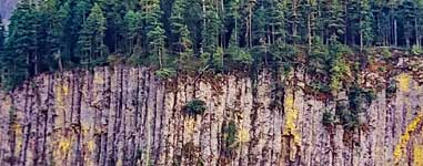 Stevens Canyon WA