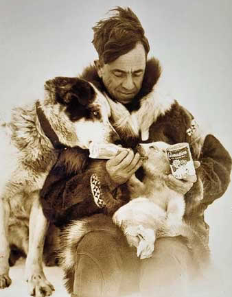 "Mother Hubbord" nurses orphaned polar bear with condensed milk